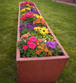 plante kasse med blomster.png